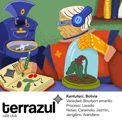 Café de Especialidad Kantutani Bolivia - Notas de caramelo y jazmín, proceso lavado | Terrazul