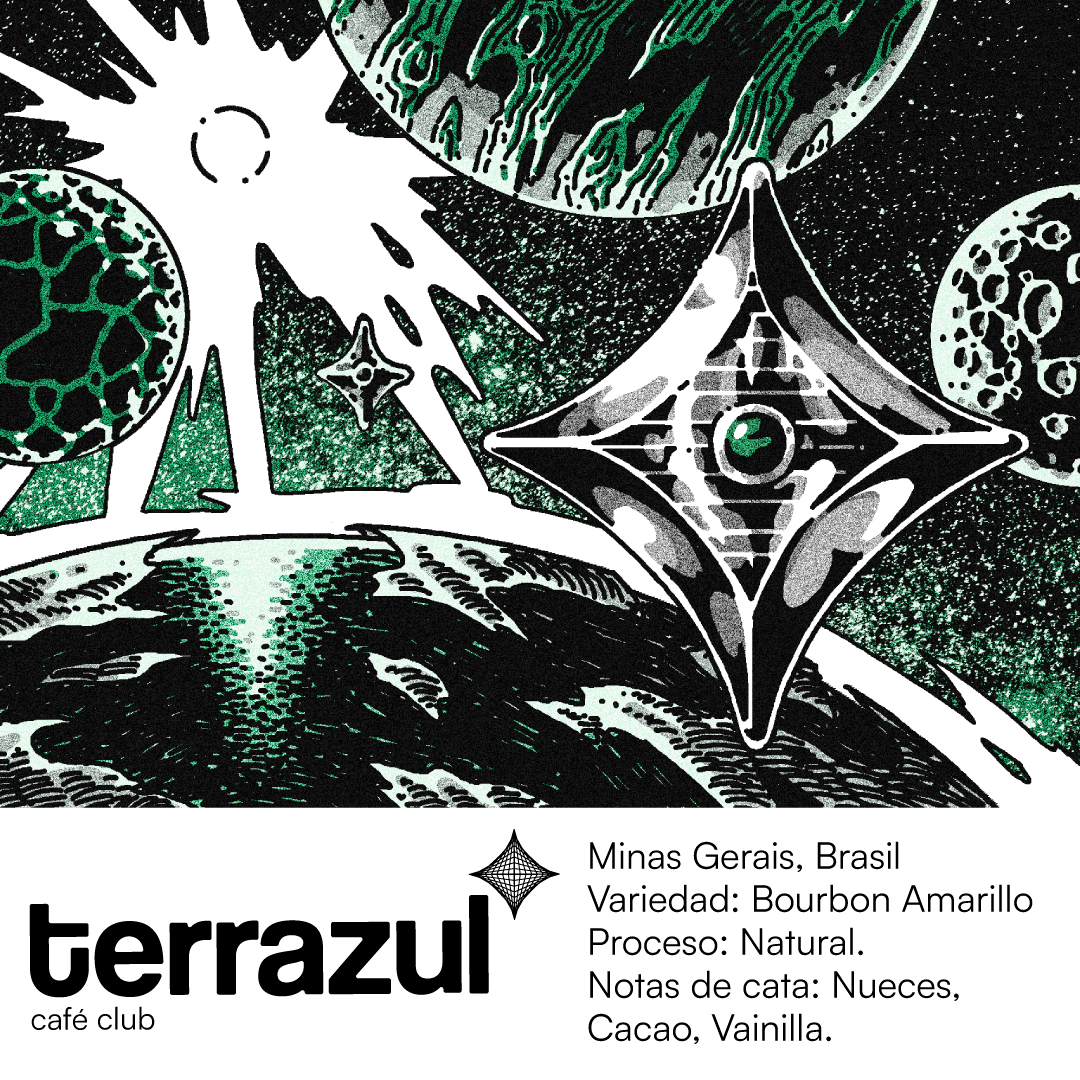 Café de Especialidad Minas Gerais Brasil - Tueste artesanal en grano y molido 250g | Terrazul