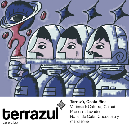 Café de Especialidad Tarrazú Costa Rica - Notas de chocolate y mandarina, proceso lavado | Terrazul